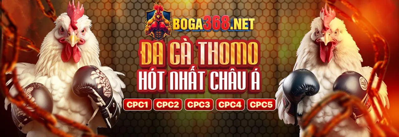 Khuyến mãi đá gà độc quyền VN168