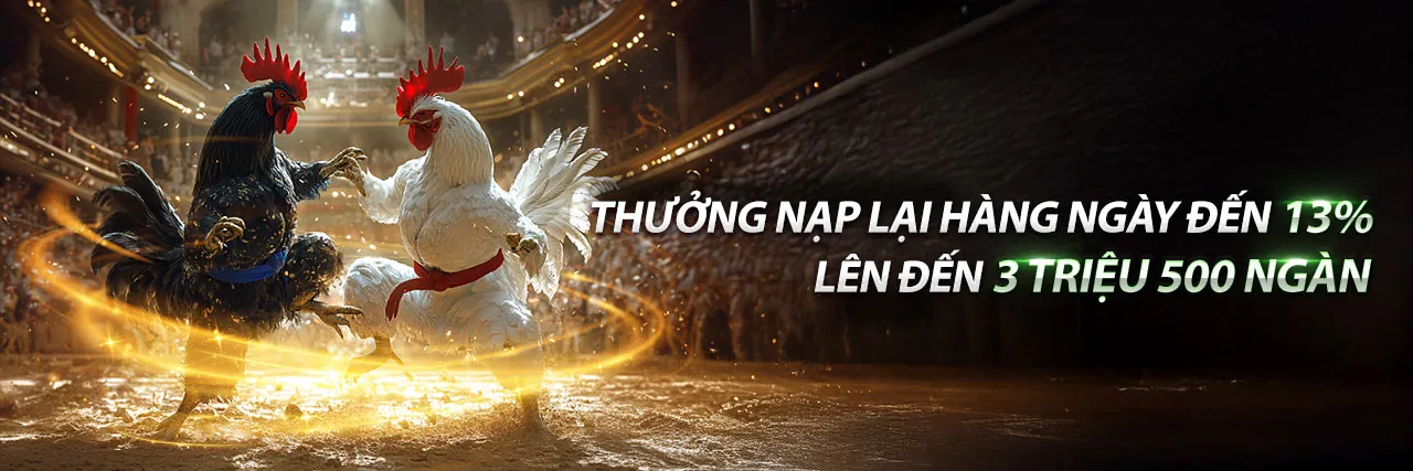 Hình ảnh hỗ trợ khách hàng chuyên nghiệp của VN168